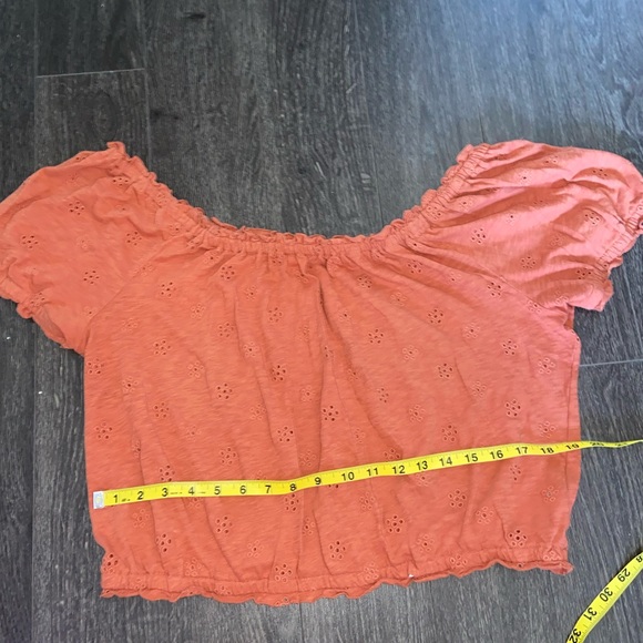 American Eagle Bubble Sleeve Eyelet Crop Top - Picture 5 of 5